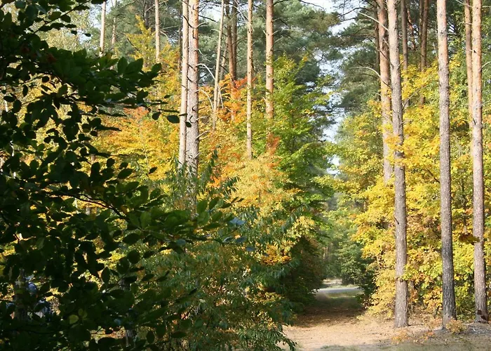 Agroturystyka Zatom Stary