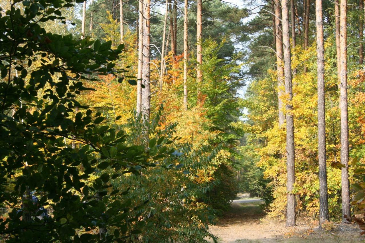 Agroturystyka Holiday home Zatom Stary